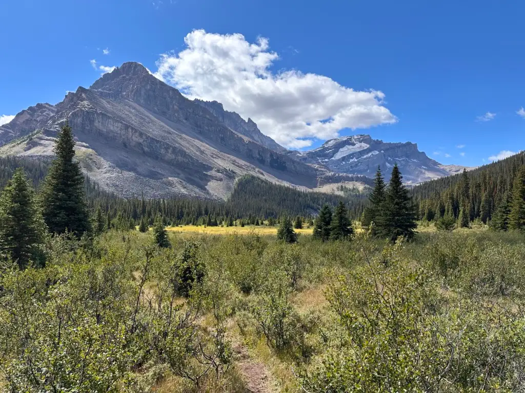 View of the mountains from near Merlin Meadows Camp