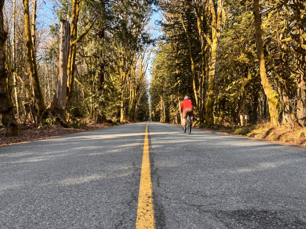 Biking the Paradise Valley Road in Squamish