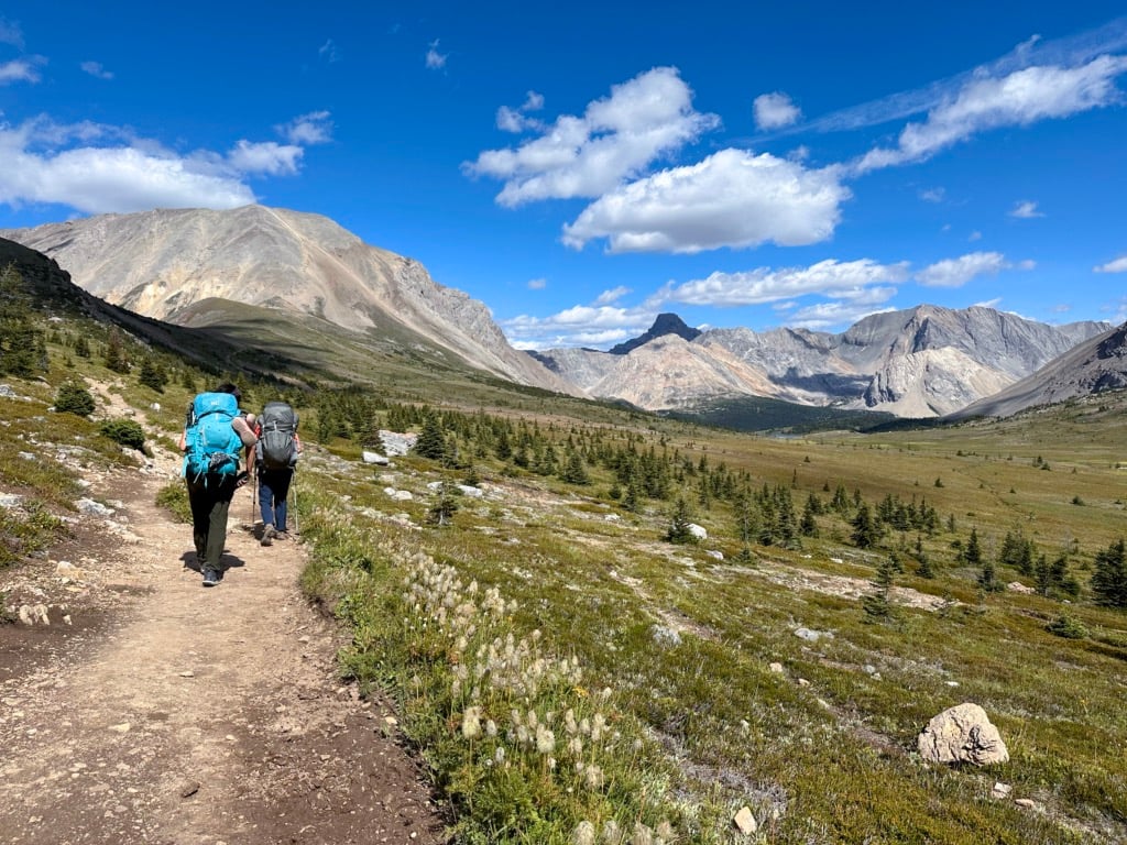 Hikers in wildflower meadows near Ptarmigan Lake in Banff National Park