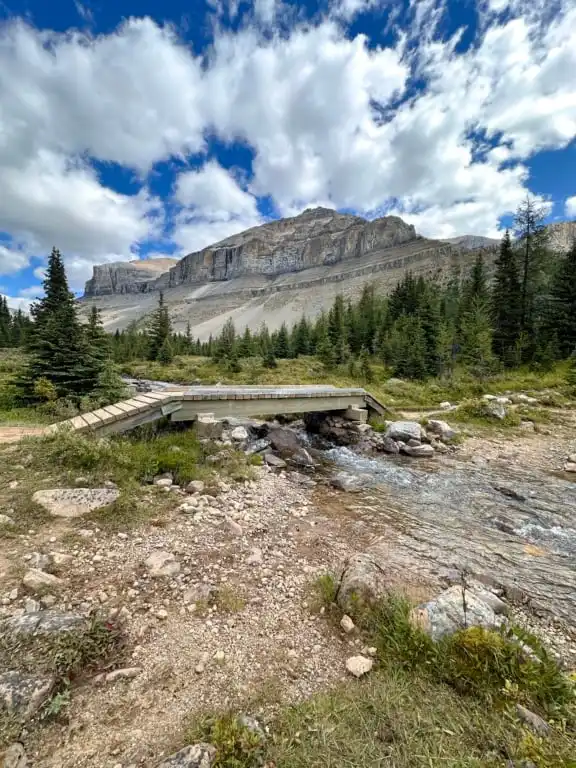 Bridge on the Skoki Trail