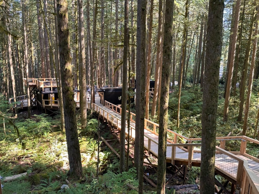Boardwalk and Forest Lounge at Squamish Canyon