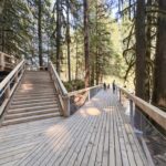 People on a boardwalk and stairs in the forest at Squamish Canyon.