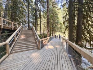 People on a boardwalk and stairs in the forest at Squamish Canyon.