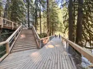 People on a boardwalk and stairs in the forest at Squamish Canyon.