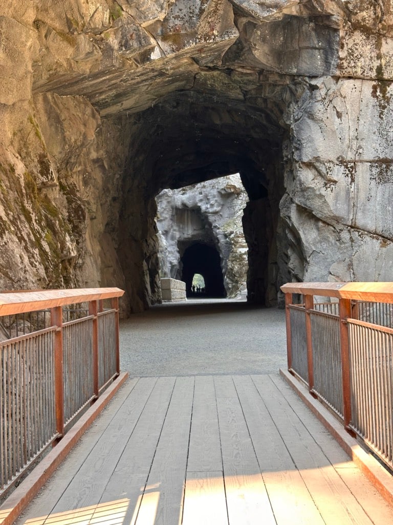 Looking through the Othello Tunnels