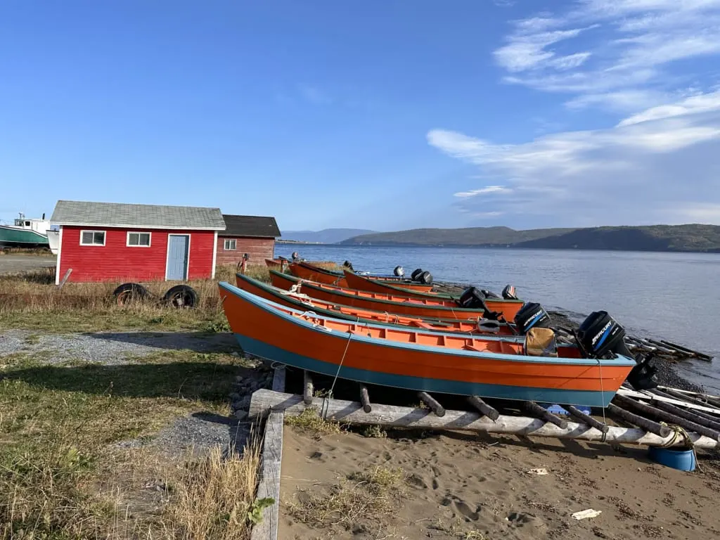 Bay of Islands dories on the shoreline in Frenchman's Cove