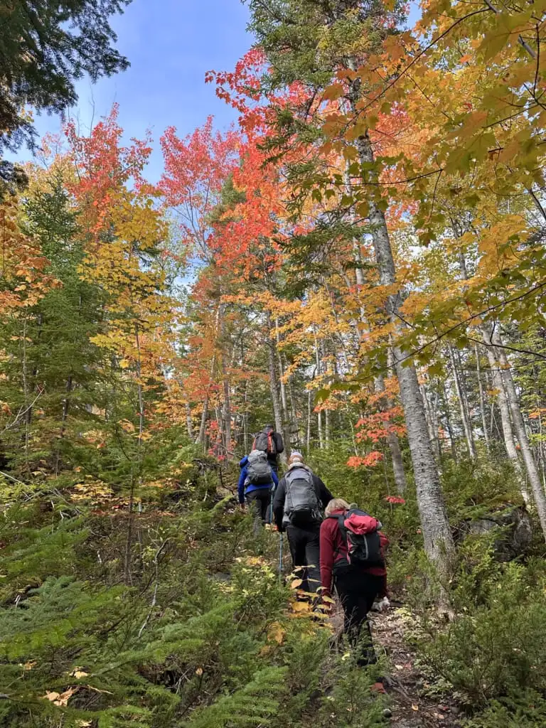 Hikers and fall colours on the Corner Brook Stream Trail
