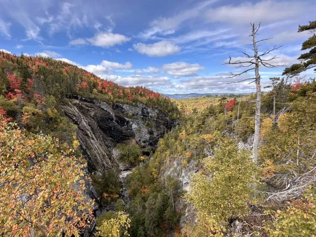 Looking down into the gorge along the Corner Brook Stream Trail