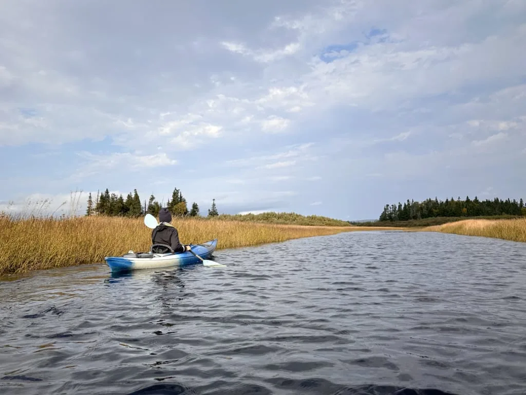 A woman kayaks on the Humber River
