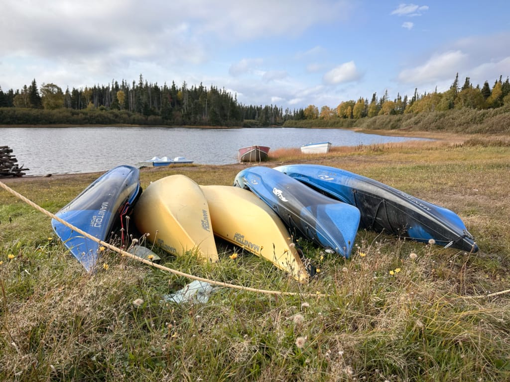 Kayaks on the shore of the Upper Humber River