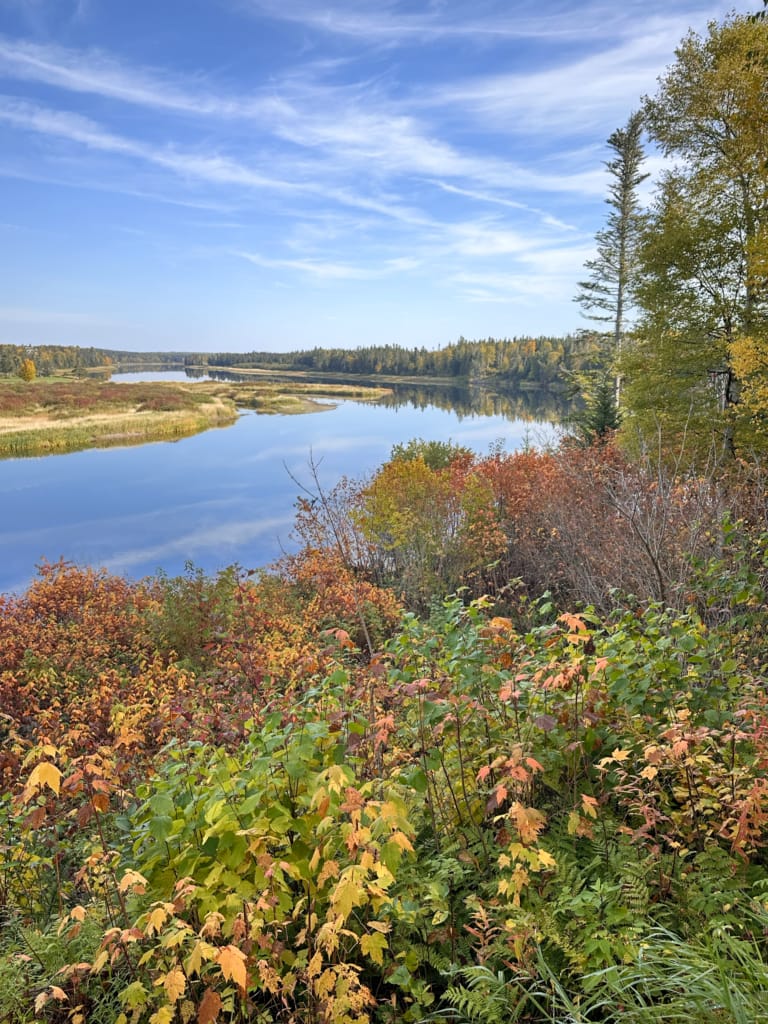 Fall colours on the Humber River Trail in Deer Lake