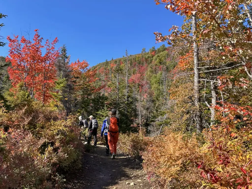 Fall colours on the Lookout Trail in Gros Morne National Park