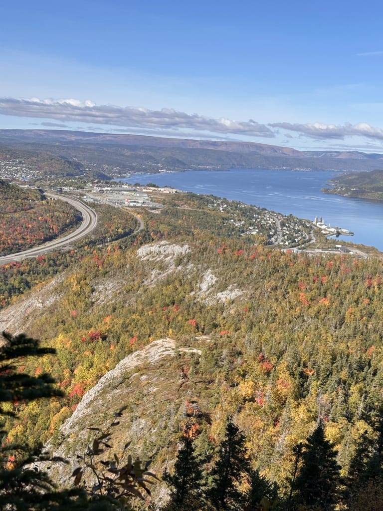 View of Corner Brook from the Man in the Mountain Trail