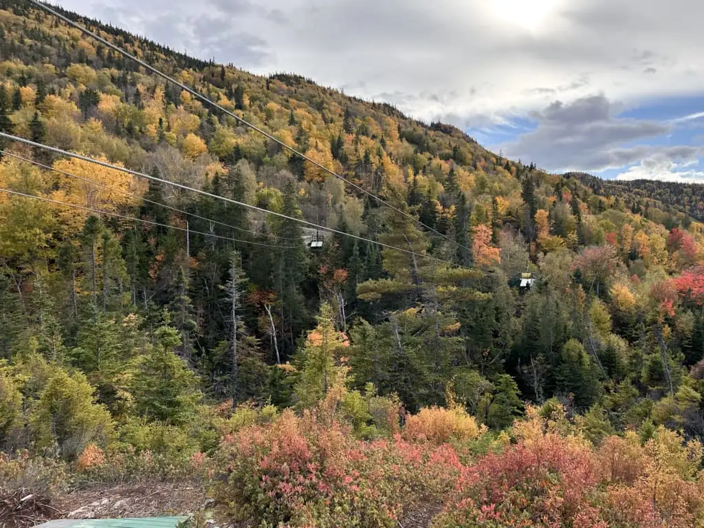 Fall colours at Marble Zip Tours in Corner Brook