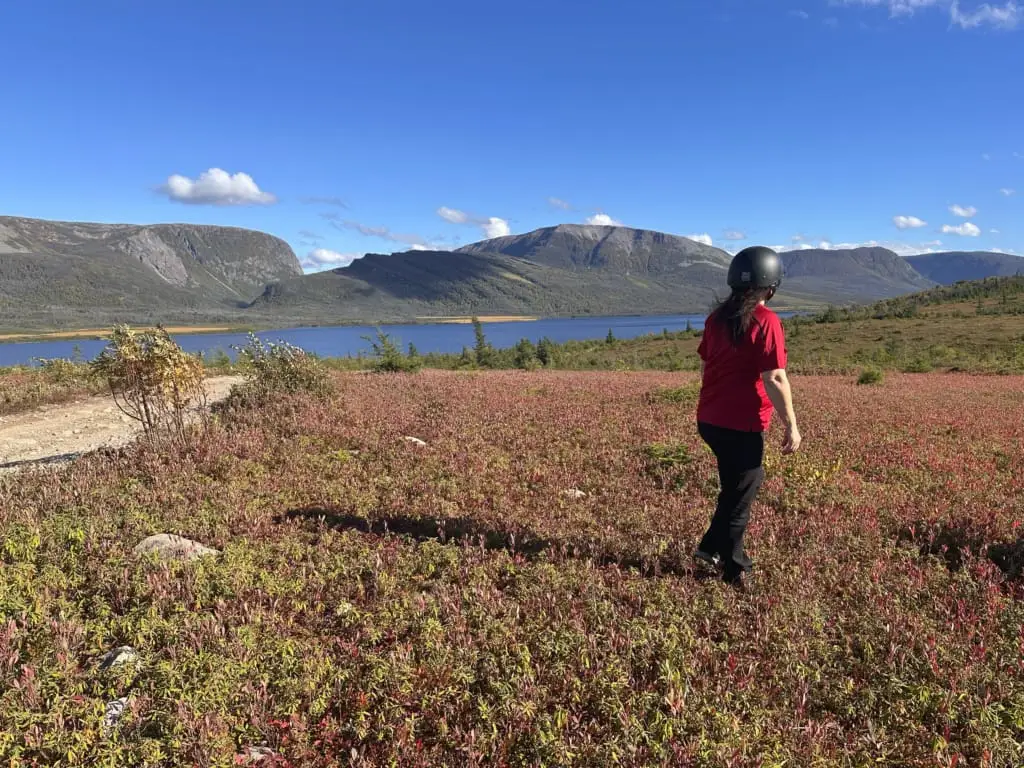 A woman stands in blueberry meadows in fall with Gros Morne Mountain in the background