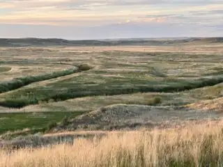 View of a river valley and bison in Grasslands National Park