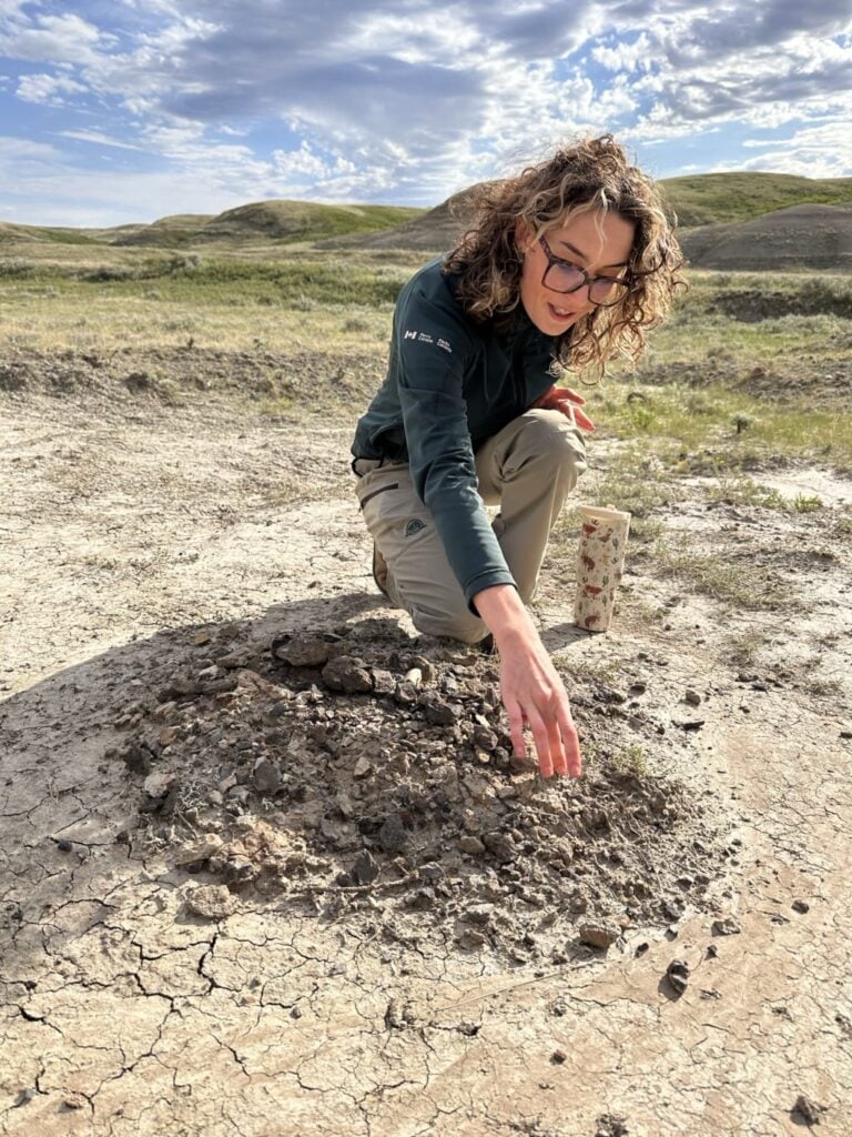 A park ranger leads a fossil hike in Grasslands National Park