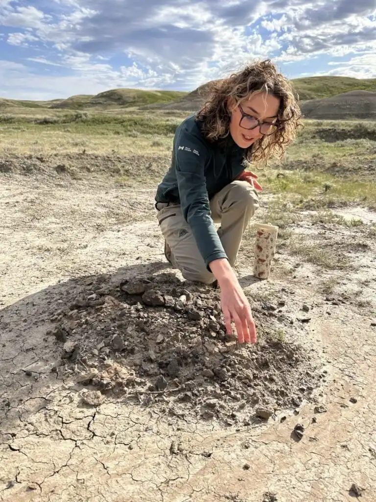 A park ranger leads a fossil hike in Grasslands National Park