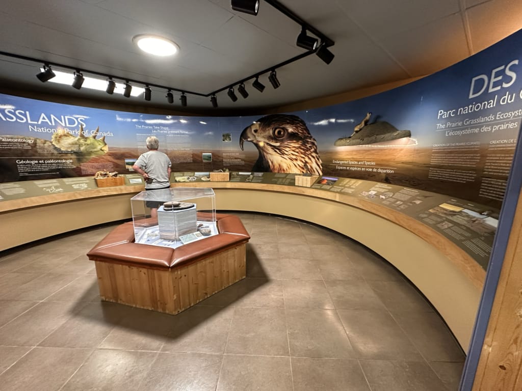 Exhibits in the Grasslands National Park Visitor Centre