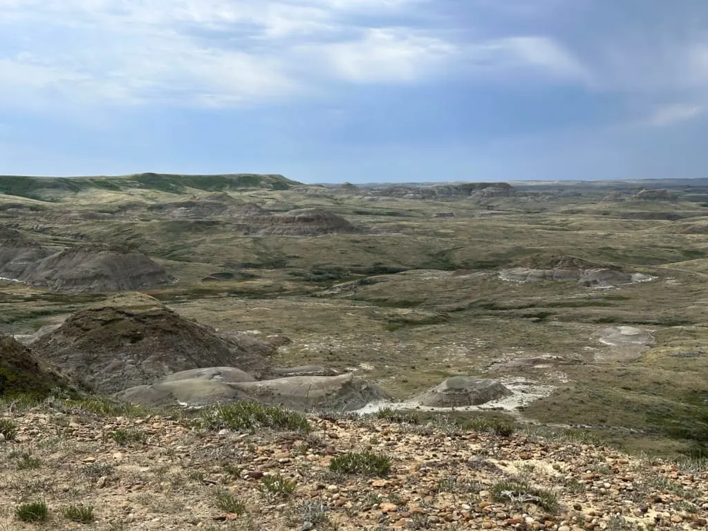 View of the Badlands from Zahursky Point