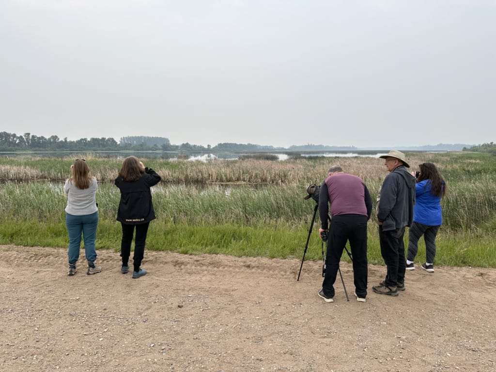 Birders watching birds in the wetlands at Pike Lake