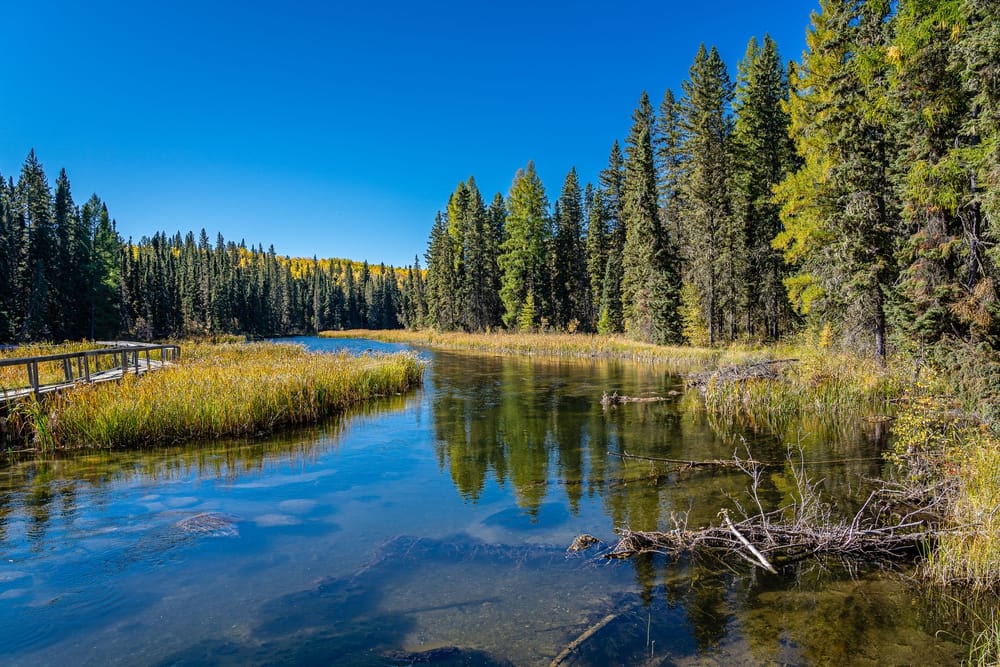 A lake in Prince Albert National Park in Saskatchewan