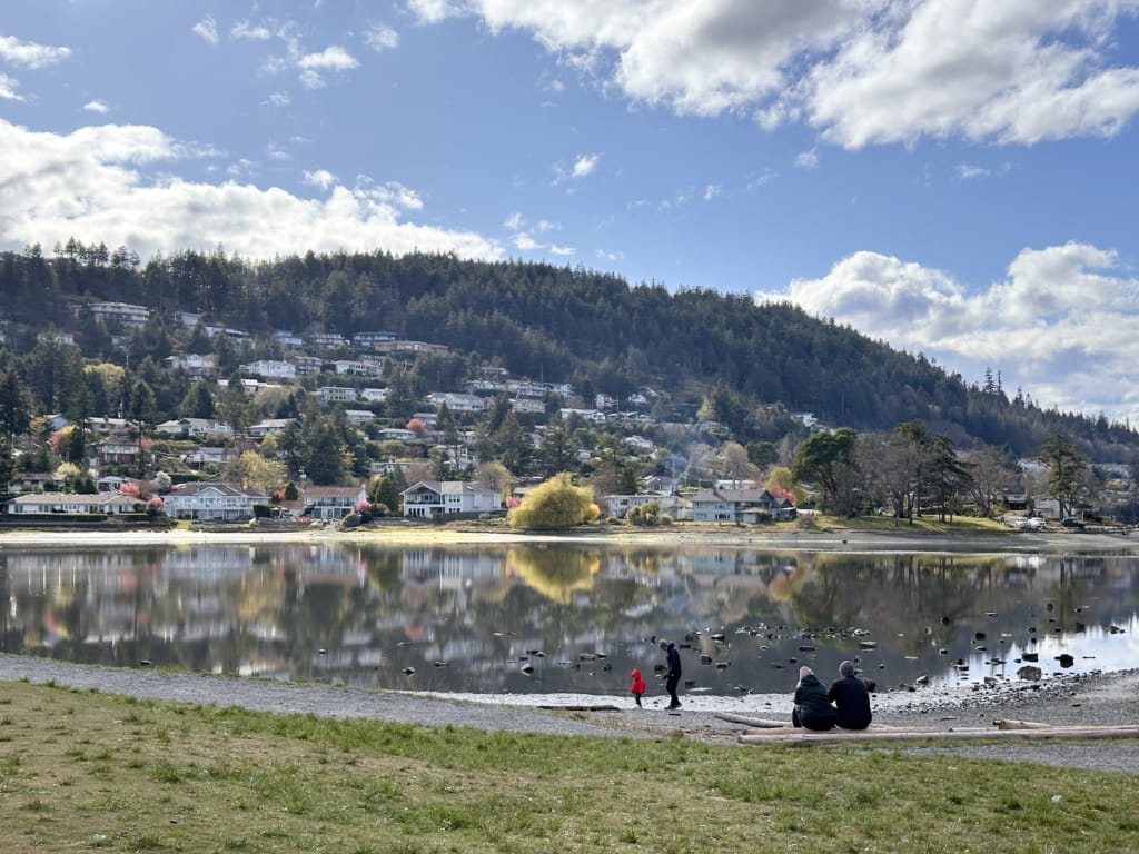 Reflections in Piper's Lagoon 