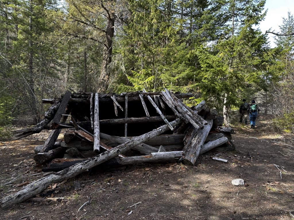 The collapsing trapper's cabin at Earl's Cabin Camp in the Stein Valley