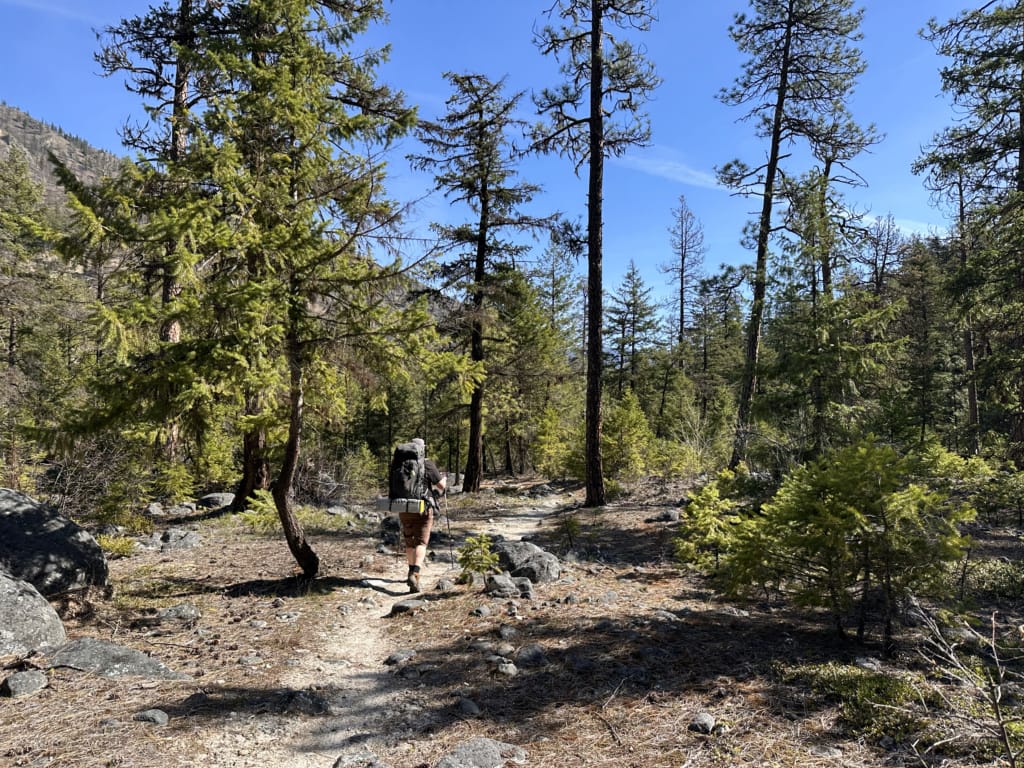 A hiker on Lower Stein Valley Trail