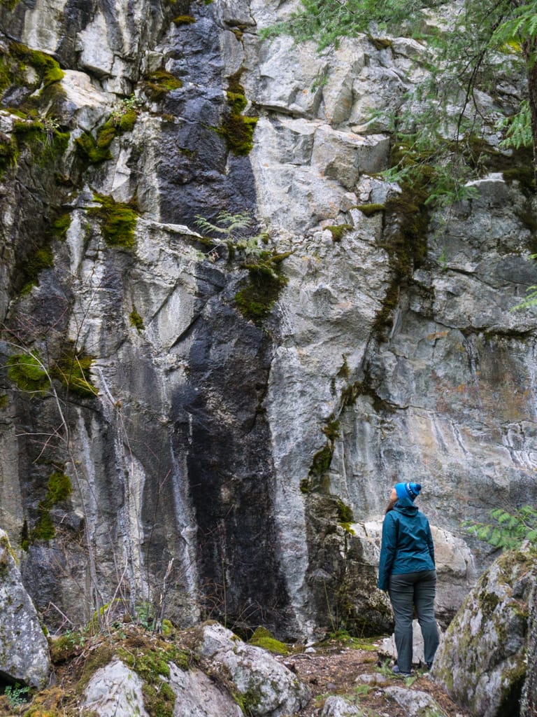 A hiker looks at the pictograph panels in the Stein Valley