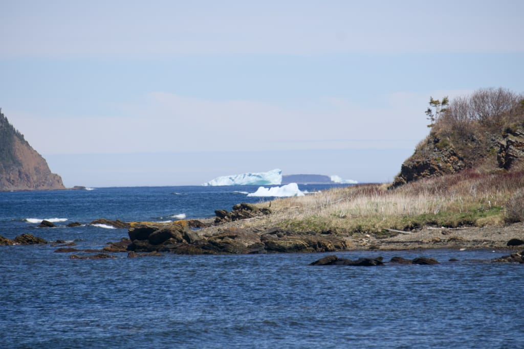 Icebergs seen from the Captain Coublongue Trail in Crouse on the Great Northern Peninsula in Newfoundland