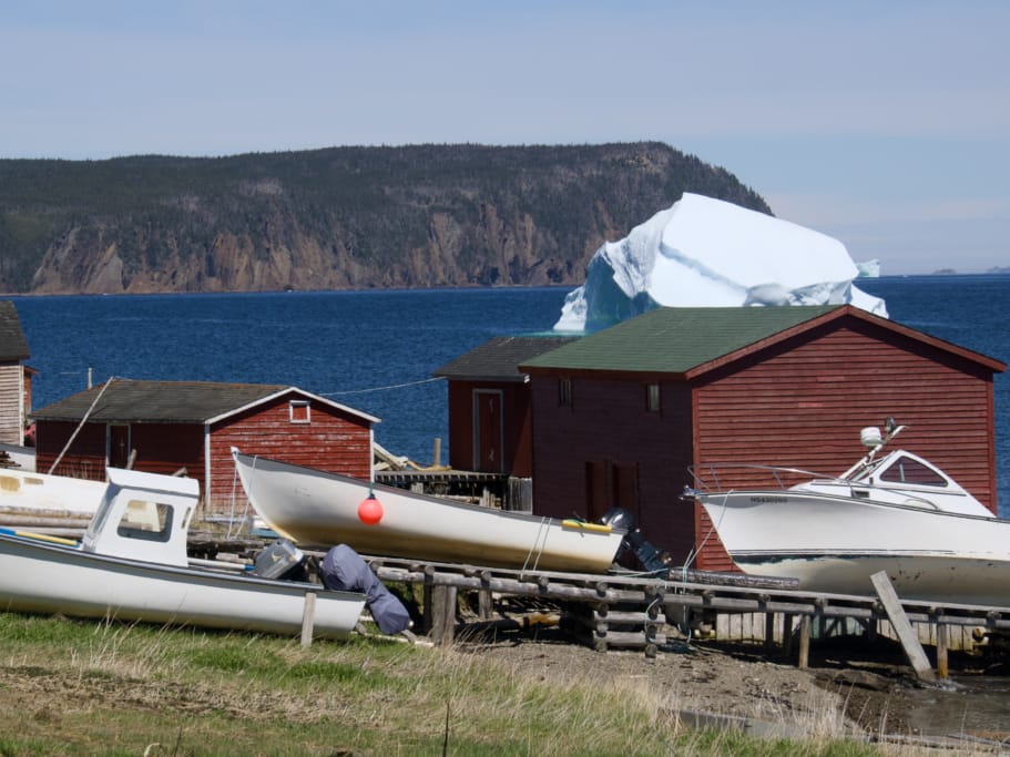 An iceberg in Crouse Harbour near Conche.