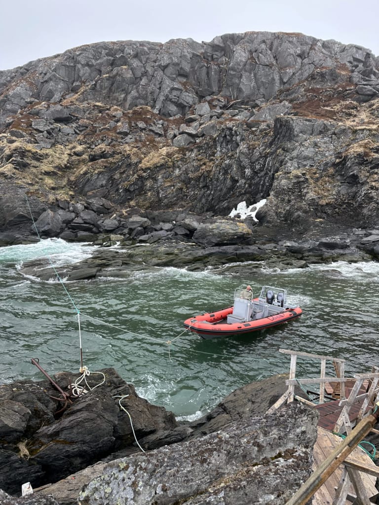 Zodiac arriving on Quirpon Island, Newfoundland