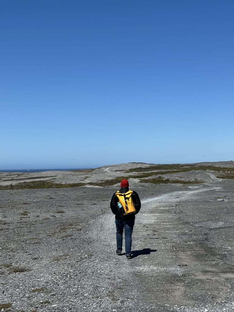  A hiker on the trail in Burnt Cape Ecological Reserve in Newfoundland