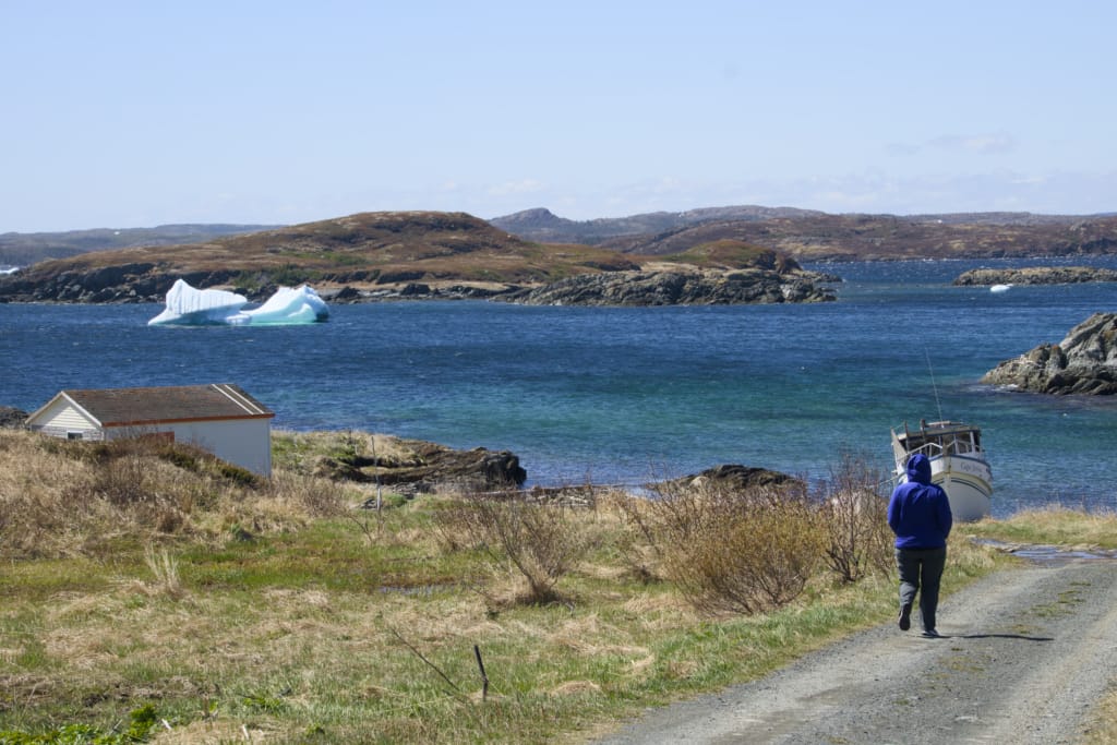 A person walks down a road toward the ocean in Saint Lunaire, NL with an iceberg in the background