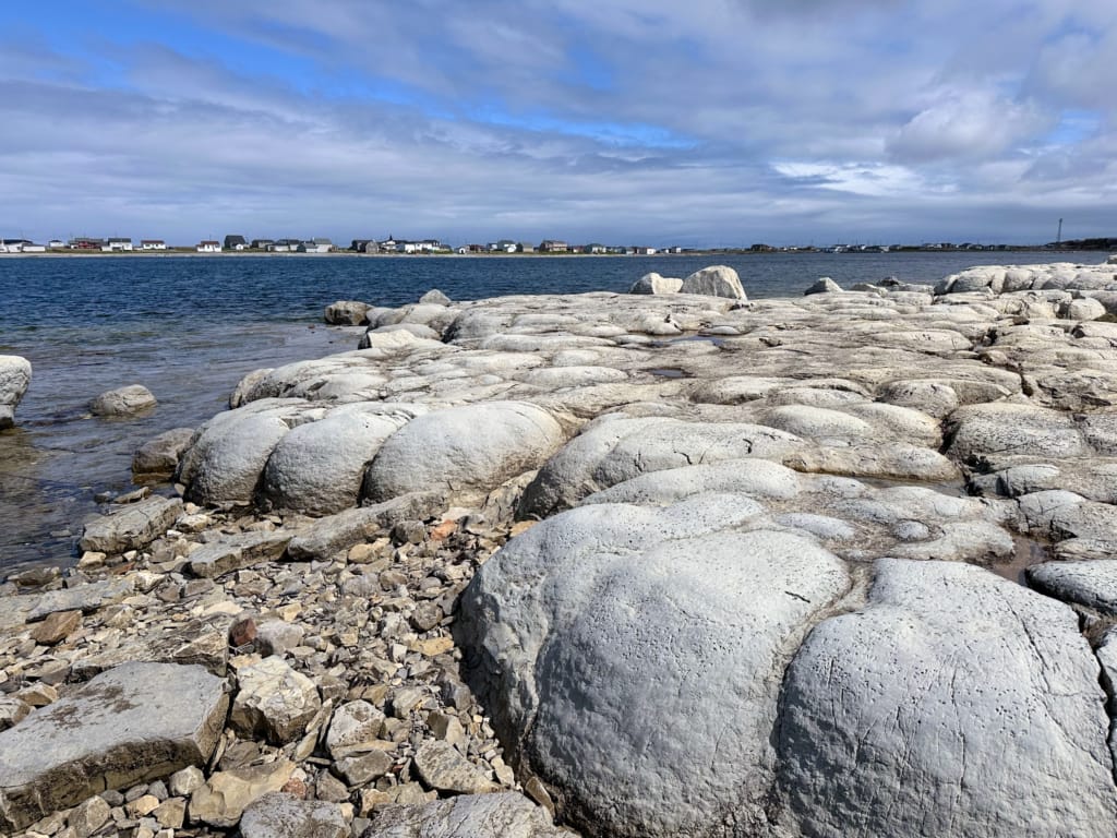 The unique fossil rock formations, called Thrombolites, at Flowers Cove on Newfoundland's Northern Peninsula