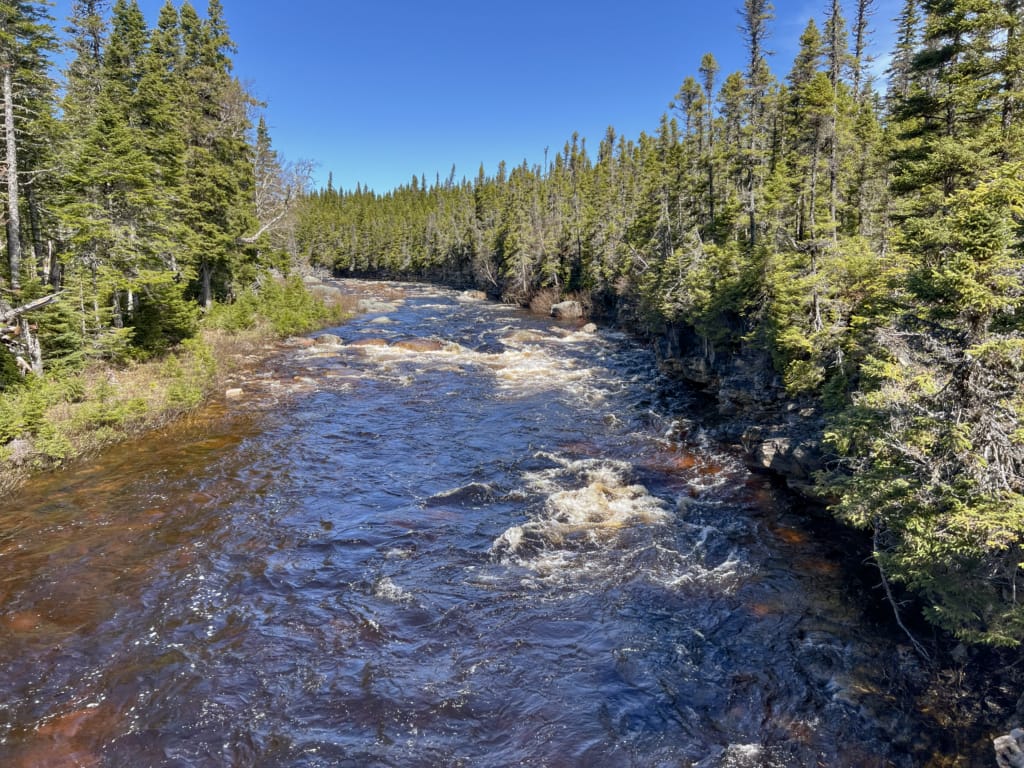 The river that feeds the Underground Salmon Pool on the Northern Peninsula in Newfoundland