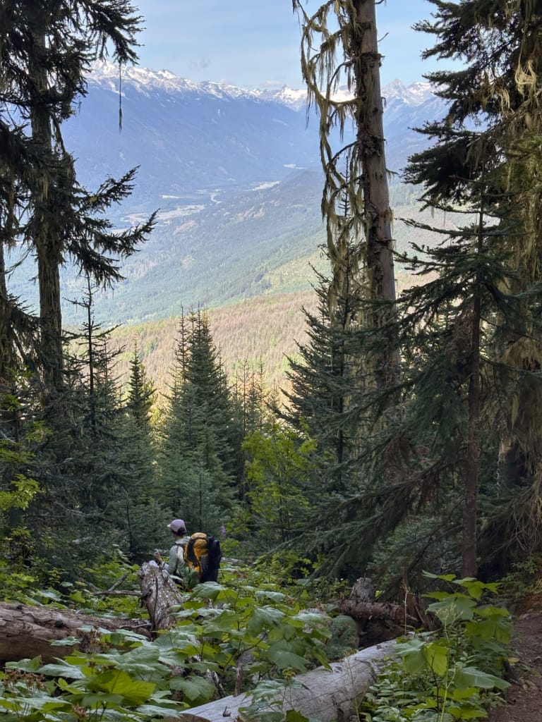 View of the Pemberton Valley