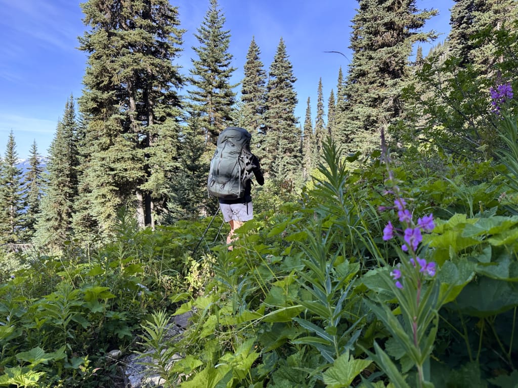 Hiker on the Tenquille Lake Trail