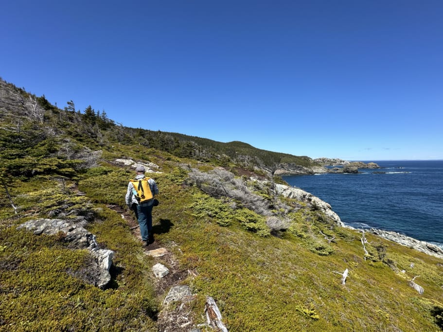 A hiker in coastal barrens near Cape St. Francis on the East Coast Trail