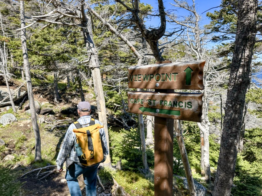 Trail navigation signs on the Biscan Cove Path of the East Coast Trail