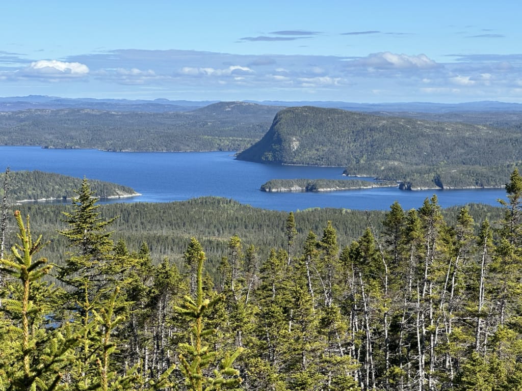 The view from Blue Hill Viewpoint in Terra Nova National Park. You can see Newman Sound.