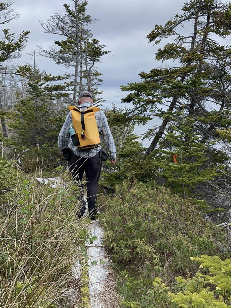 A hiker walks along a narrow boardwalk on the Island Meadow Path