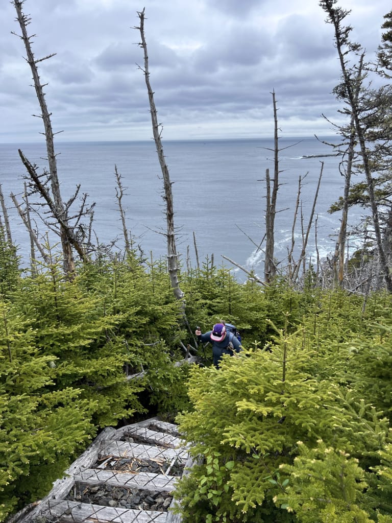 Stairs on the East Coast Trail new Renews, Newfoundland