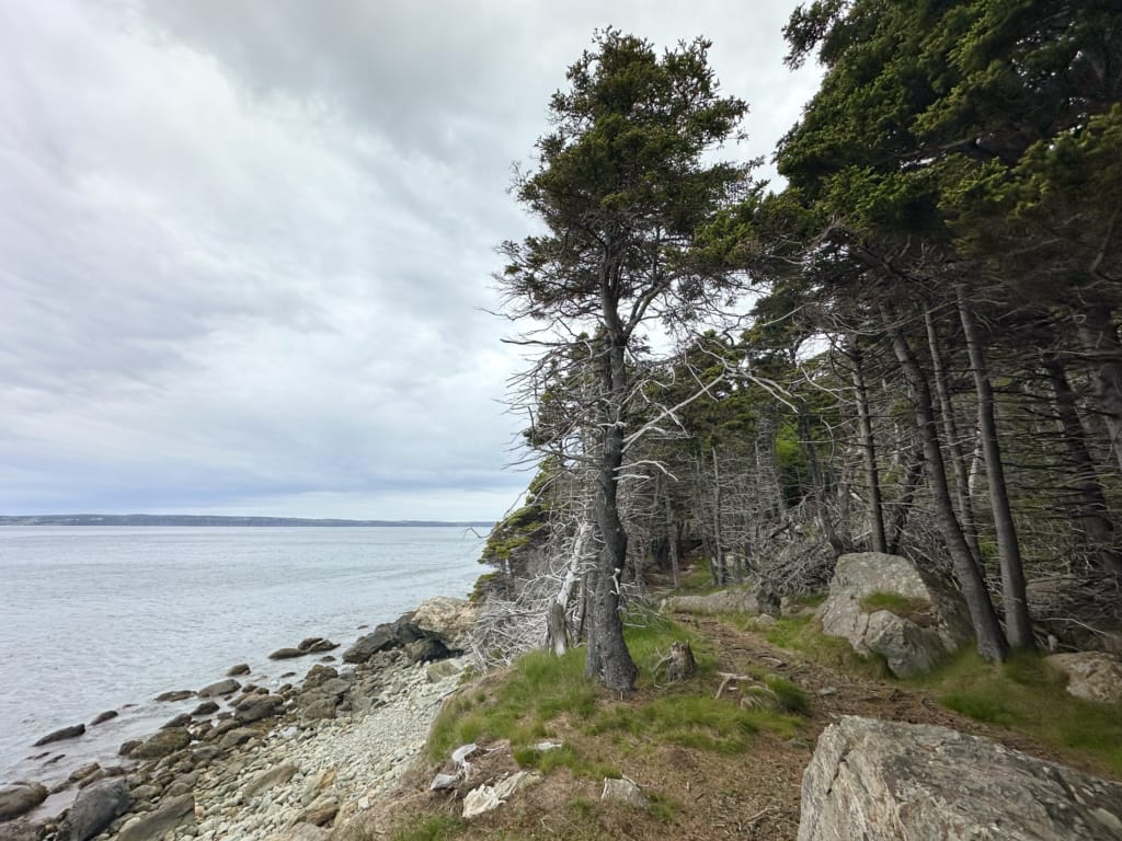 Bluff-top trail on the Long Shore Path on the East Coast Trail