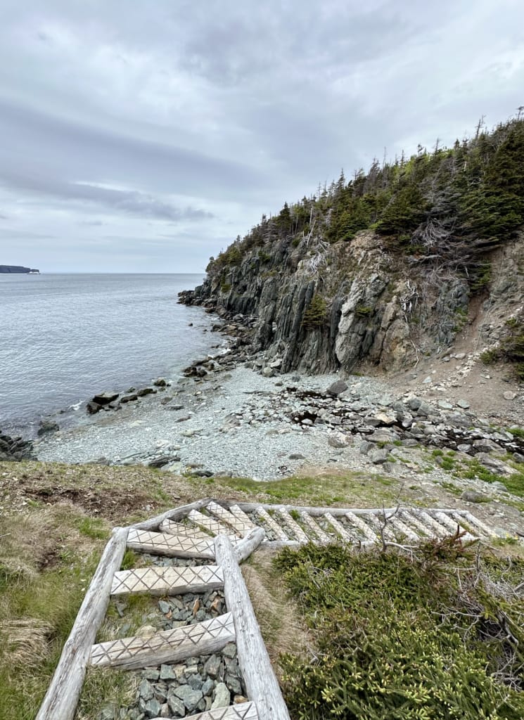 A staircase descends steeply into Coat Cove on the Long Shore Path of the East Coast Trail