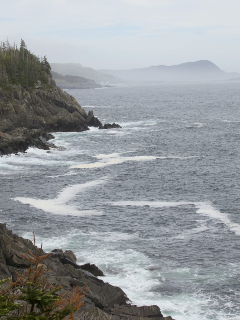 Mist along the coast on the East Coast Trail