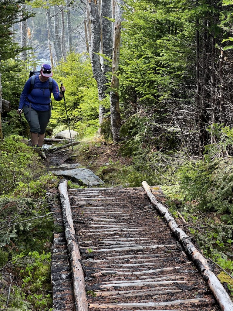 A hiker walks on a log boardwalk on the East Coast Trail