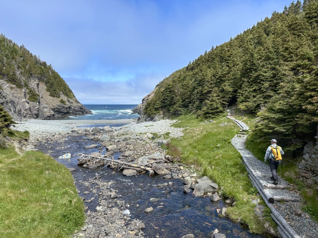 A hiker follows a trail beside Shoe Cove on the East Coast Trail