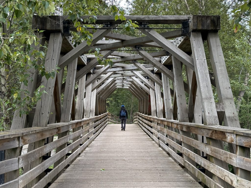 Bridge over the spawning channel at Cottonwood Island Nature Park in Prince George